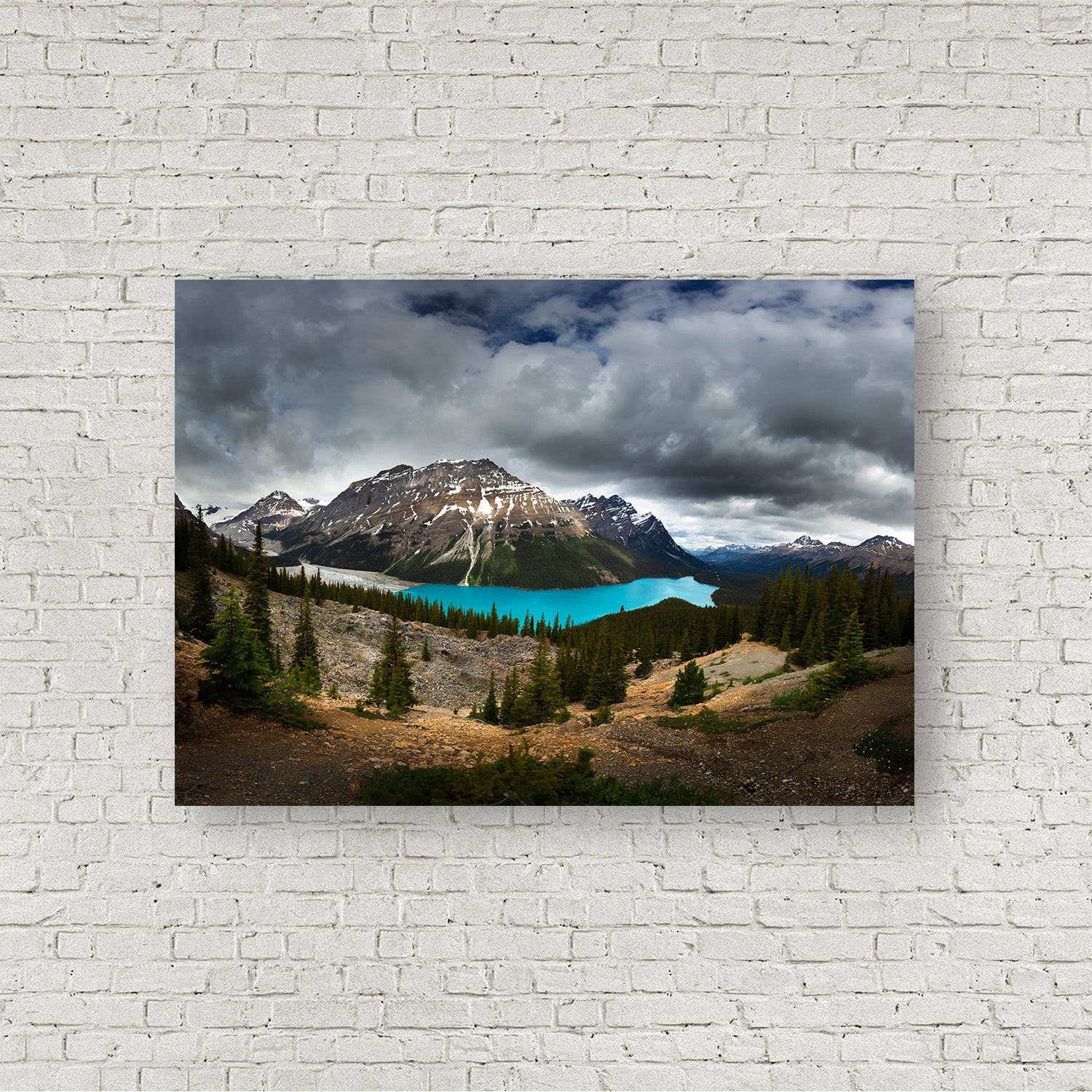 Framing Peyto