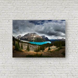 Framing Peyto