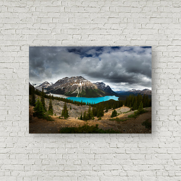 Framing Peyto