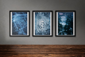 Frozen Ice Triptych