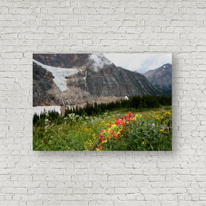 August Bloom