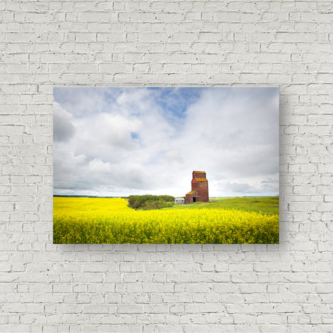 Beacon Over the Canola