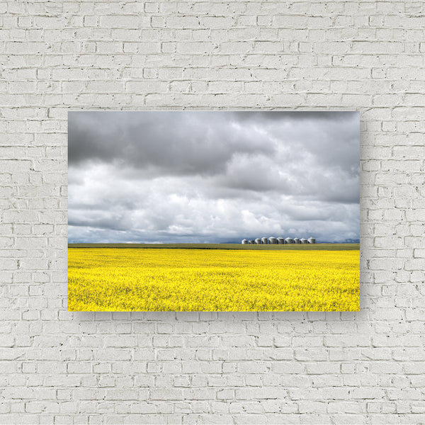 Canola Silo