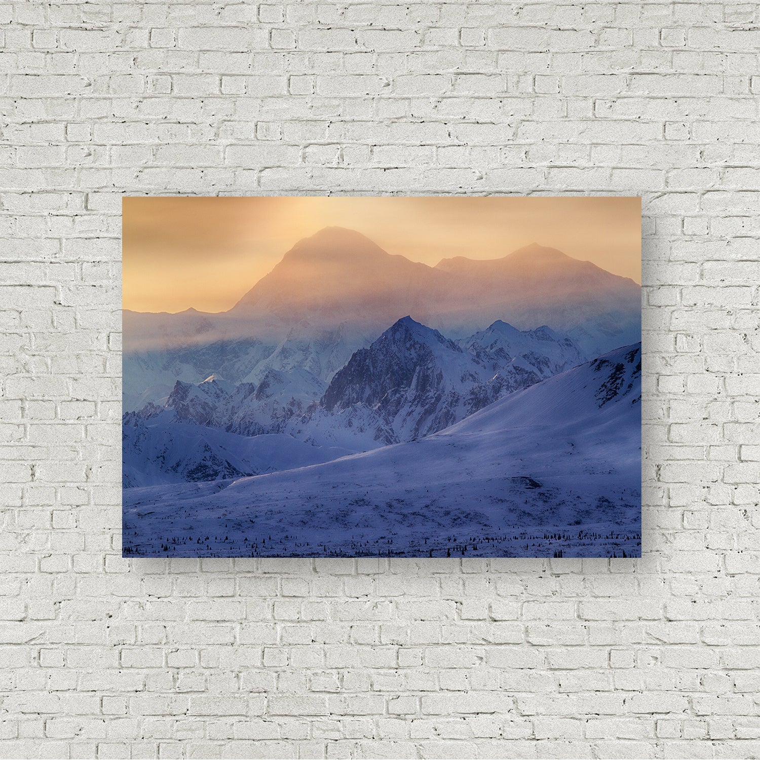 Denali Silhouette