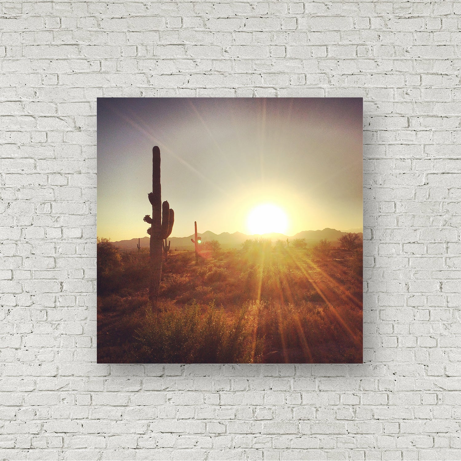 Desert Love