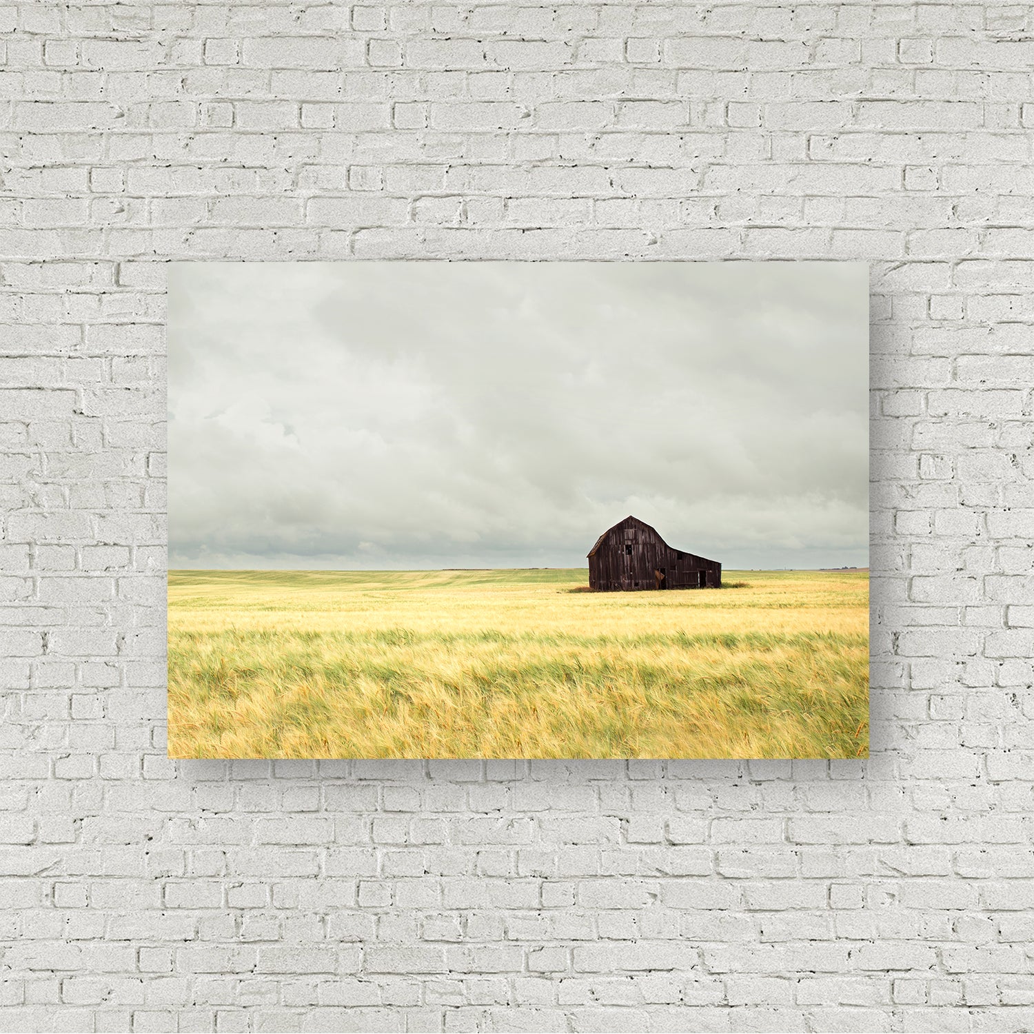Prairie Dreams (Cropped Version)