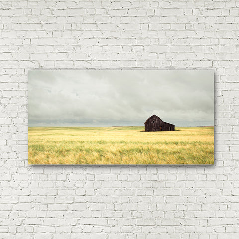 Prairie Dreams