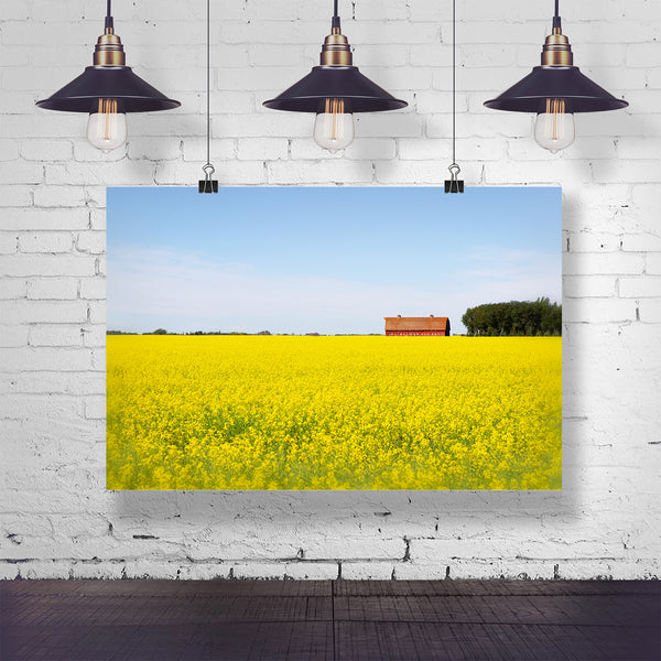 Red Barn Canola