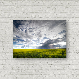 Shining Upon the Prairies