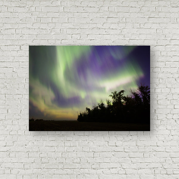 Limited Edition Gallery Wrapped Canvas of Northern Lights