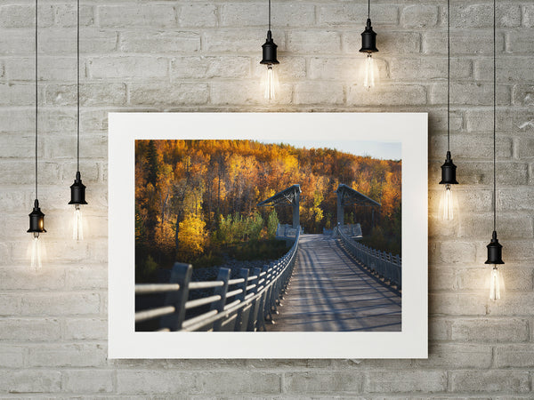 Fine Art Paper Print - Medium Format