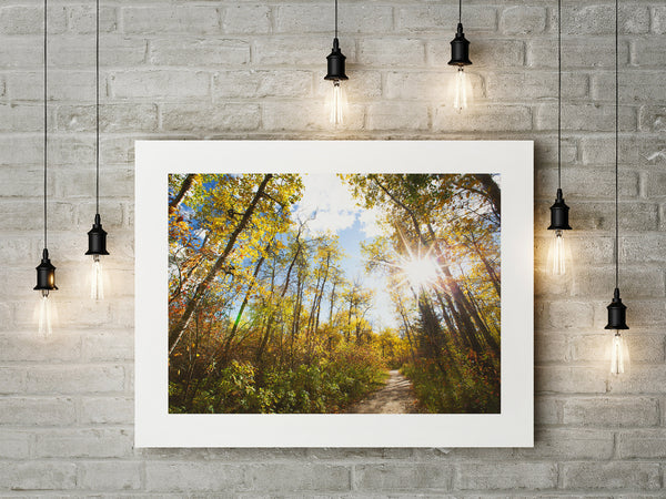 Fine Art Paper Print - Medium Format