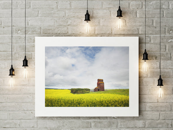 Fine Art Paper Print - Medium Format