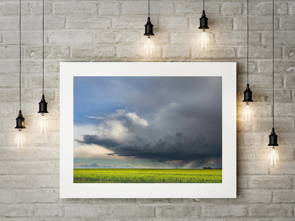 Fine Art Paper Print - Medium Format