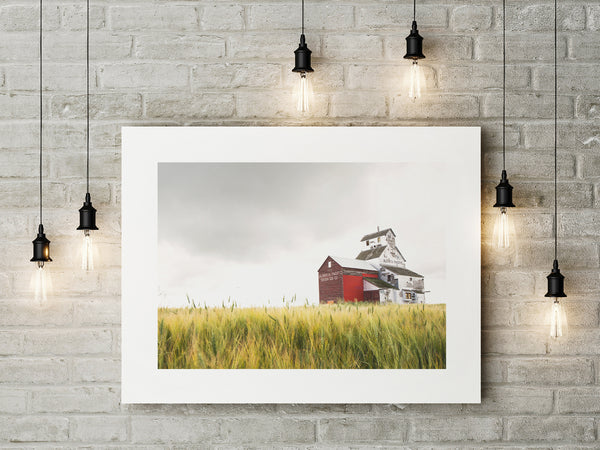 Fine Art Paper Print - Medium Format