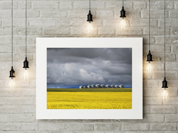 Fine Art Paper Print - Medium Format