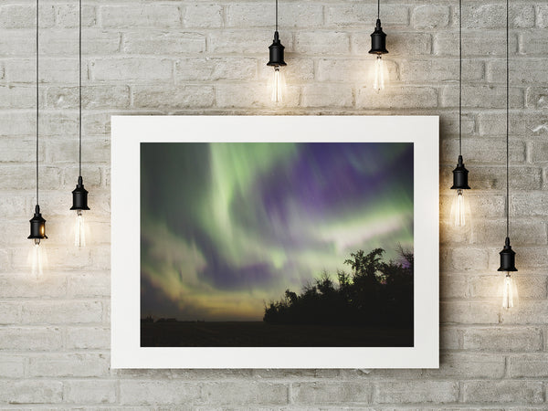 Fine Art Paper Print - Medium Format