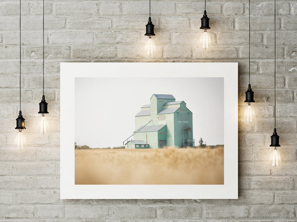 Fine Art Paper Print - Medium Format