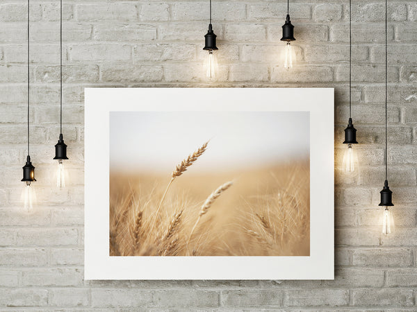 Fine Art Paper Print - Medium Format