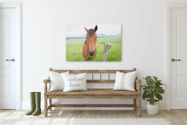 Grazing