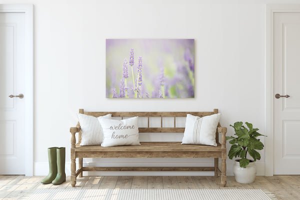 I Dream of Lavender