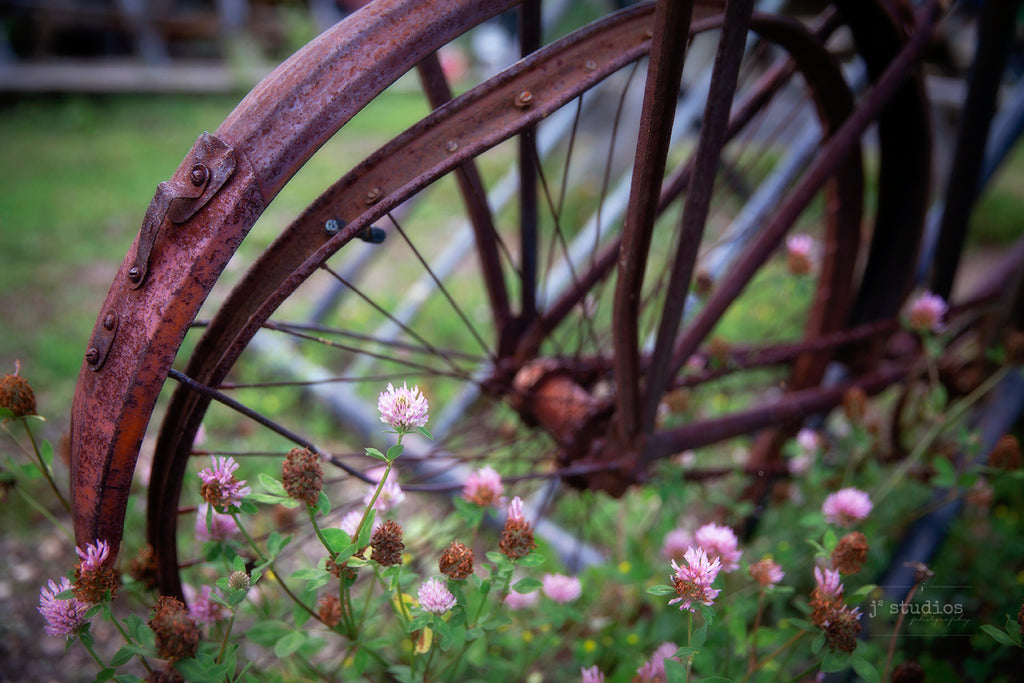 A Clover For Your Rust | Prairie Art Print | J² Studios