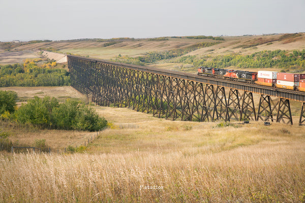 Picture of a CN Locomotive and freight train crossing the Battle River trestle, second largest railway structure in Alberta and Canada.