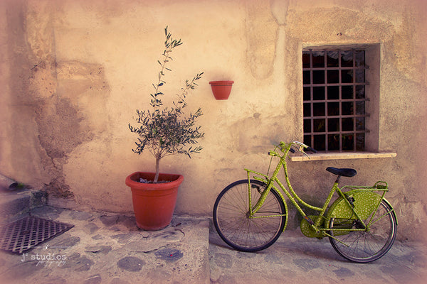 Big Matted Art Print Ready to Frame Lime Green Bicycle Cinque Terre
