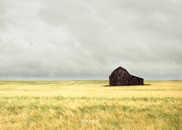 Prairie Dreams (Cropped Version)