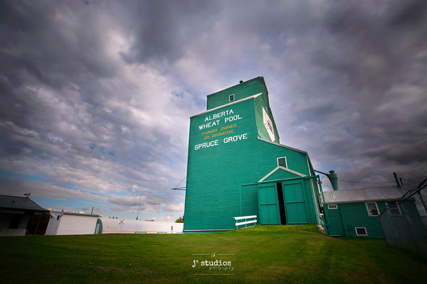 Sentinel on Spruce Grove