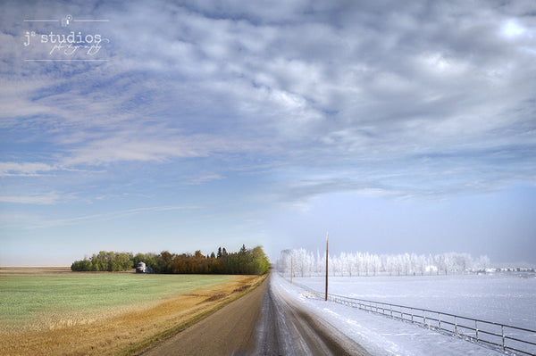 Picture of Composite of 4 Seasons along a prairie road outside of Edmonton Alberta.