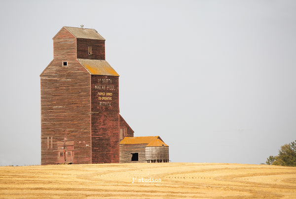 Picture of Grain Elevator sitting on edge of harvested wheat field in Warwick, Alberta.