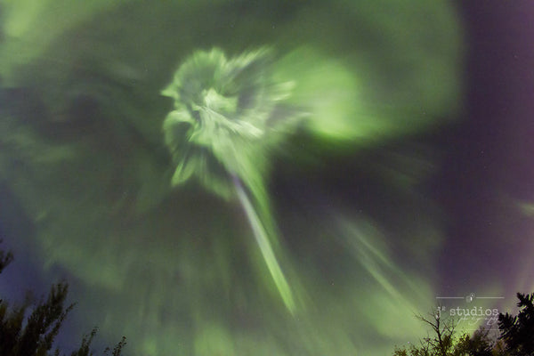 Aurora Showers is an art print of a northern lights corona during a major solar wind storm. Night Sky Photography.
