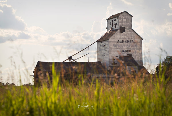 Picture of the Bardo Alberta Wheat Pool grain elevator thru the wild grass.