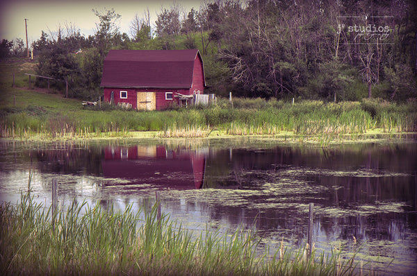 Picture of a red barn overlooking a pond in the Alberta prairies. Prairie landscape photography.