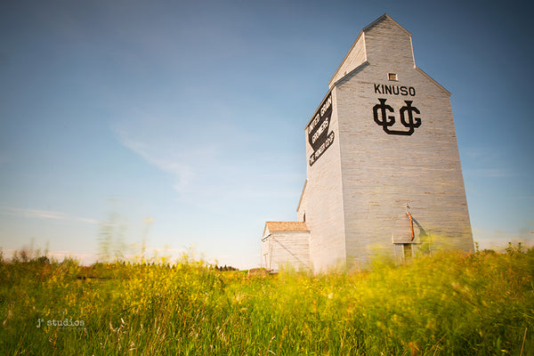 Picture of UGG (United Grain Growers) Elevator in Kinuso, Alberta seen through a field of blowing wild grass. 