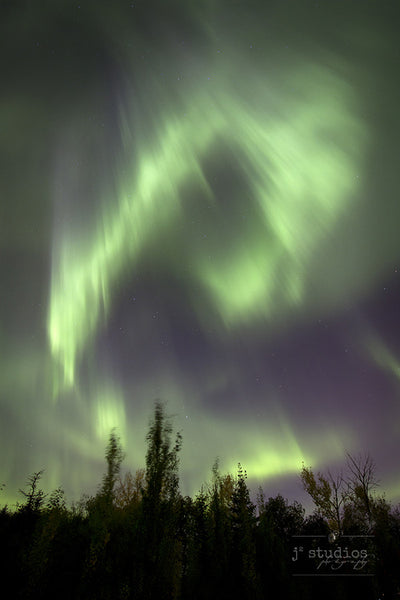 Cusps of Light is an art print of the northern lights over the prairie night skies.