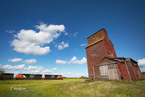 Picture a CN freight train passing Dirty Shorts grain elevator in Shonts, Alberta. Canola field in background. Alberta photography by Larry Jang.