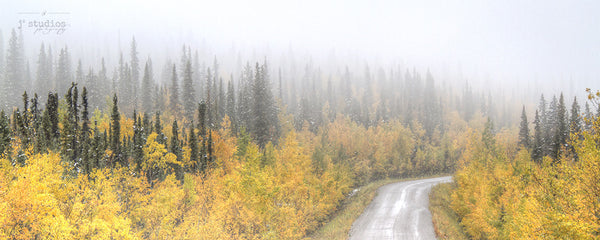 Foggy Autumn is an image of a country road in Yukon Territory.