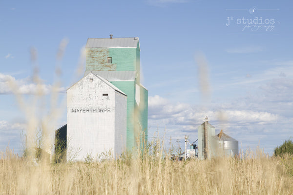 Glimpse of Mayerthorpe is an image of grain elevators framed by strands of wheat. Heritage Photography.