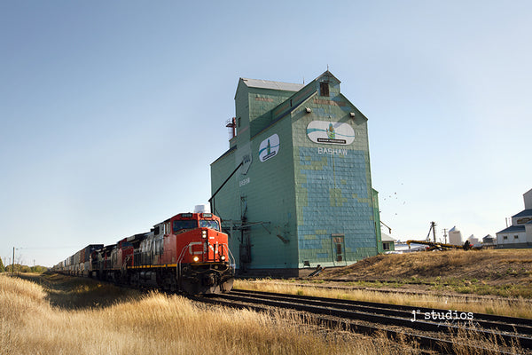 Fine art photograph of a CN locomotive & freight train roaring by  Bashaw Processors Grain Elevator. 