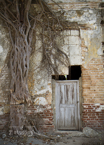 Laying Down the Roots is an image of a door with tree roots growing up the wall in Cuba. Door photography.