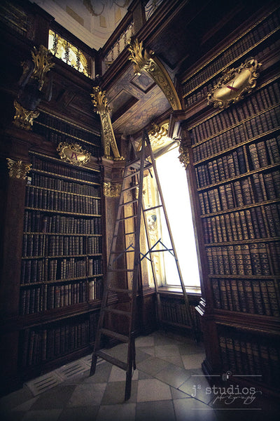 Library is an image of a library room in Austria. Travel Photography.