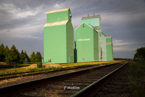 Gorgeous image of the trio of grain elevators that comprise the Forestburg skyline. 
