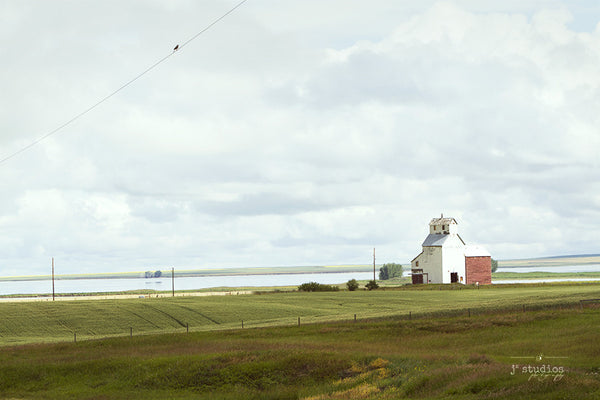 There Once Was A Grain Named Raley is a sentimental inspired art print of a bird on a wire near the Raley elevator in Southern Alberta. Photography for Home Decor.