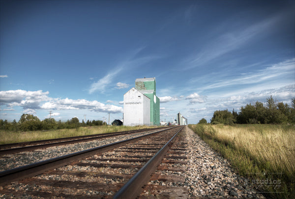 Prairie Sentinel in Mayerthorpe is an image of the railroad tracks heading towards Mayerthorpe's grain elevators.Railway photography.