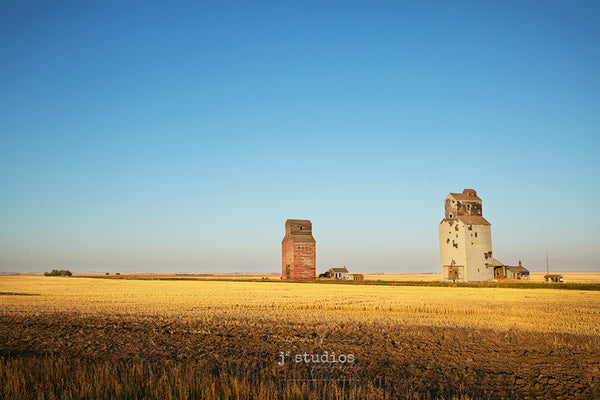 Art print of vast Saskatchewan Prairies featuring wheat field and a pair of weathered  wooden Grain Elevators. 
