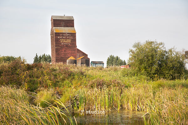 Image of the Warwick grain elevator framed by water, cat tails, and a farmers field. Beautiful and natural prairie moment. Alberta photography.