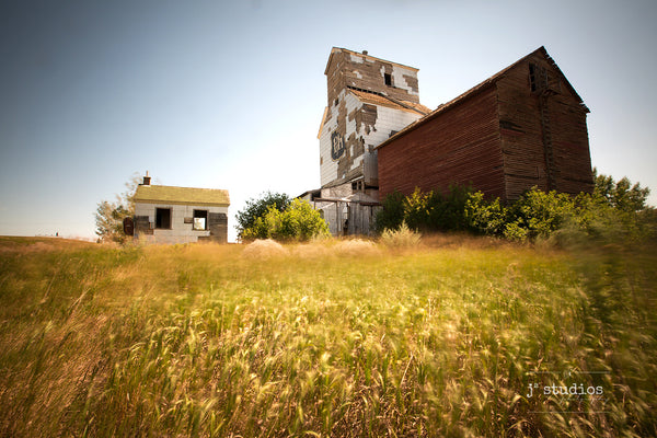 Sentimental themed image of the ghost town Sharples. The abandoned P&H grain elevator by the field of wild grass, blowing in the wind....  Prairie love art print.