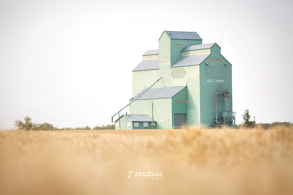 Sentimental inspired image of the Elk Point grain elevator standing across a wheat field. Dreamy prairies photograph.